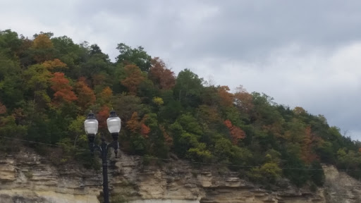 Discount Store «Dollar General», reviews and photos, 505 E Osage St, Pacific, MO 63069, USA