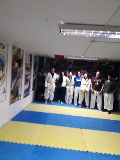 Academia Taekwondo Kwon Punta Arenas