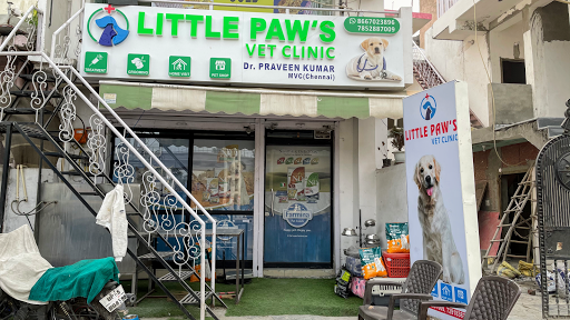 Little Paw's Vet Clinic | Pet Clinic | 24 Hours Veterinary Clinic