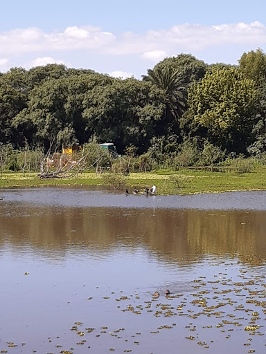 Playa Reserva Ecológica Buenos Aires