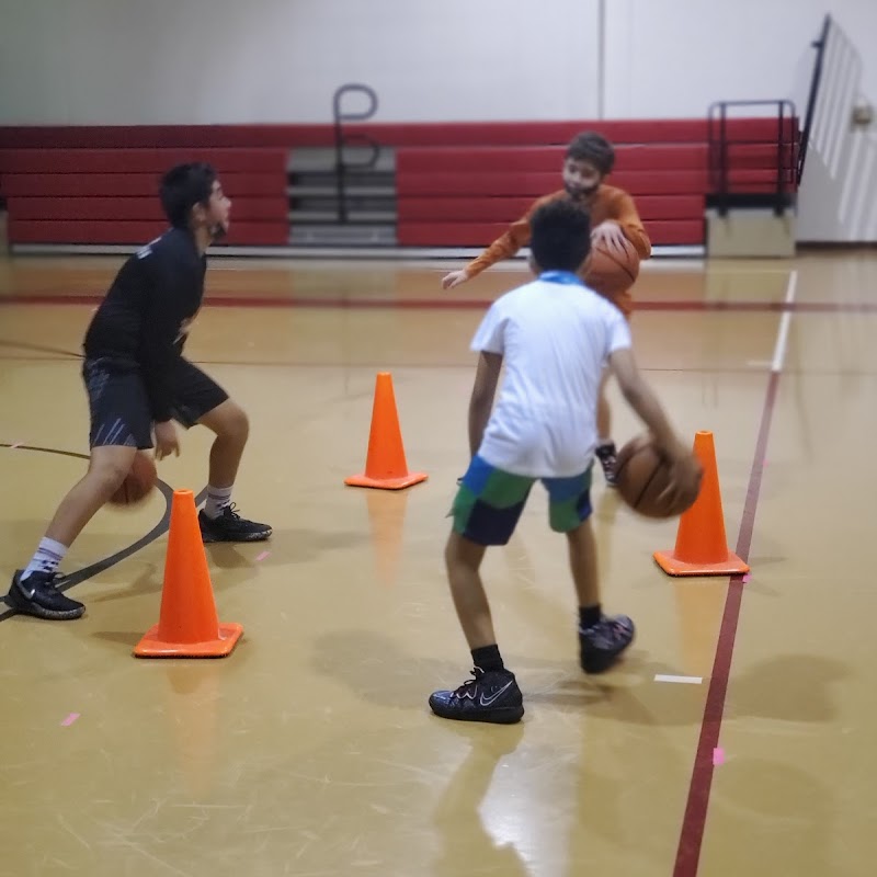 Evolution fitness and basketball