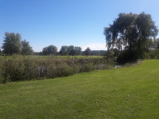 Public Golf Course «Reddeman Farms Golf & Banquets», reviews and photos, 555 S Dancer Rd, Chelsea, MI 48118, USA