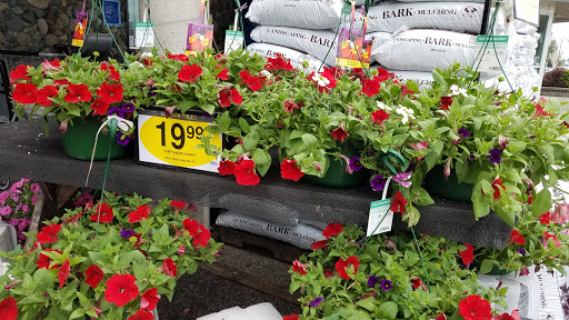 Grocery Store «Quality Food Center», reviews and photos, 1009 Monroe Ave, Enumclaw, WA 98022, USA