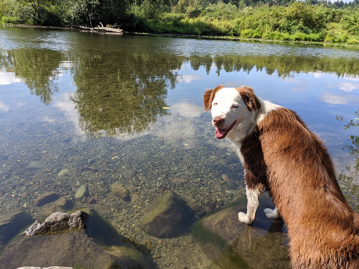 Park «Marymoor Park», reviews and photos, 6046 West Lake Sammamish Pkwy NE, Redmond, WA 98052, USA