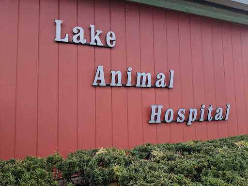 Lake Animal Hospital image 5