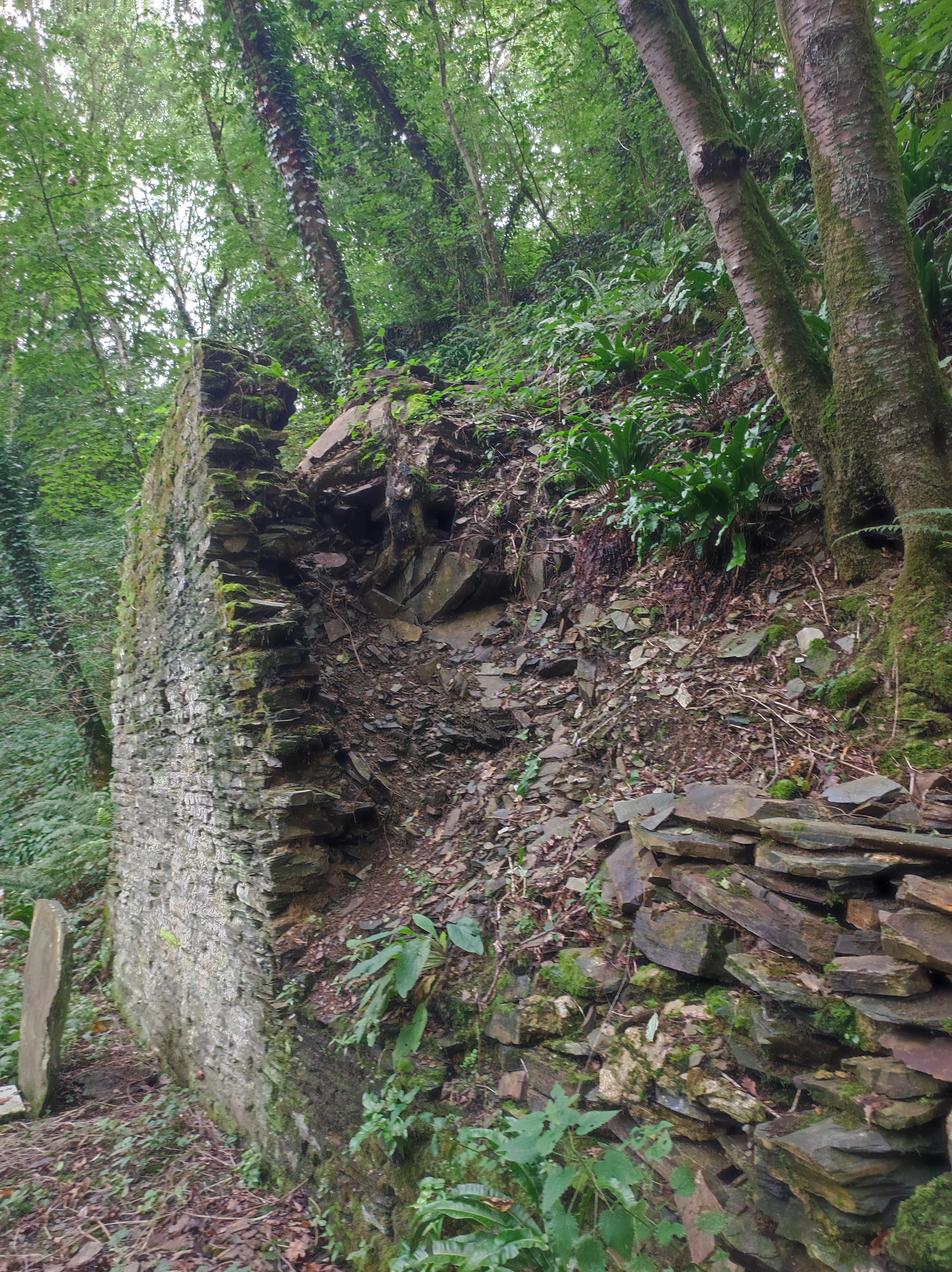 Photo n° 8 de l'avis de MANOLY.r fait le 04/09/2023 à 12:37