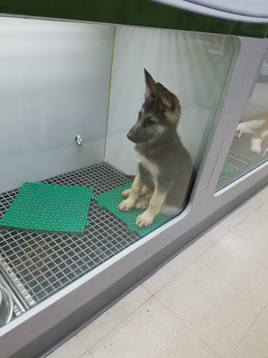 Pet Store «Petland», reviews and photos, 920 Hebron Rd, Heath, OH 43056, USA