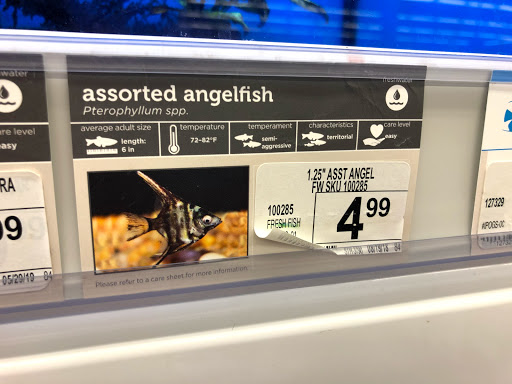 Pet Supply Store «Petco Animal Supplies», reviews and photos, 1175 Ulster Ave, Kingston, NY 12401, USA