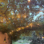 Photo n°5 de l'avis de José.u fait le 01/06/2023 à 12:37 sur le  Semi di grano à Gittana