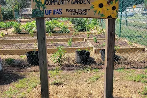 Watson Park Community Garden image