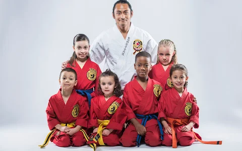 Northern Karate School image