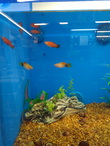 Pet Supply Store «PetSmart», reviews and photos, 4429 Pecanland Mall Dr, Monroe, LA 71203, USA