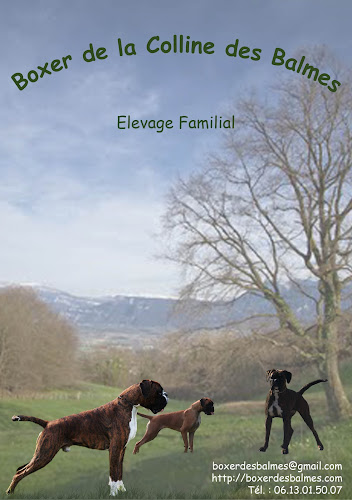 Elevage de la Colline des Balmes à Tullins