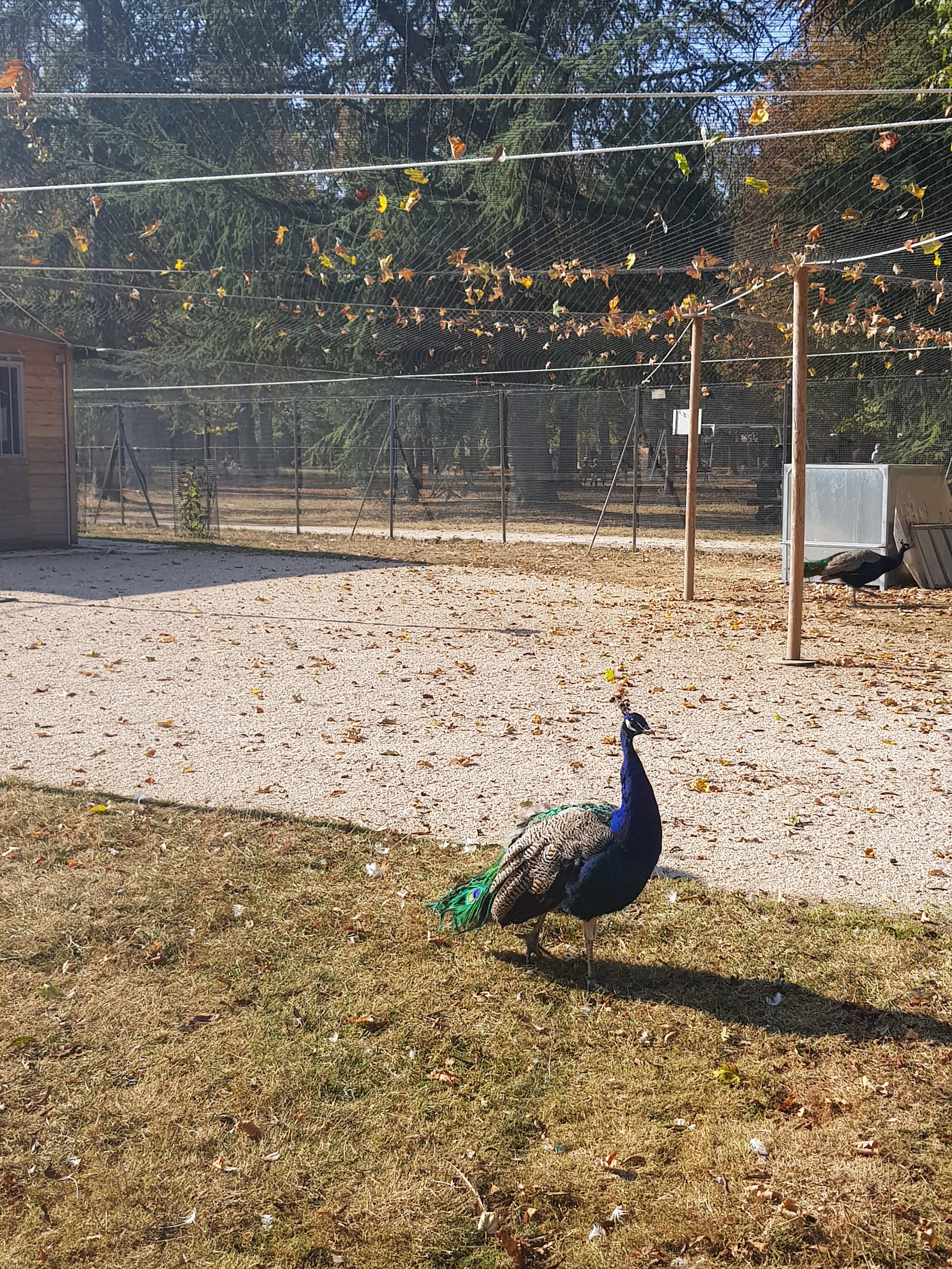 Photo n° 6 de l'avis de Eliza.u fait le 27/10/2018 à 21:34