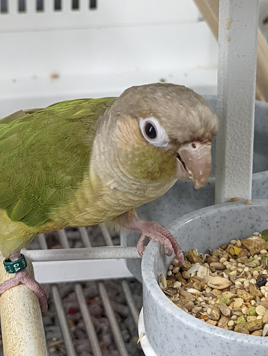 Pet Supply Store «Petco Animal Supplies», reviews and photos, 3012 Bridgepointe Pkwy, San Mateo, CA 94404, USA