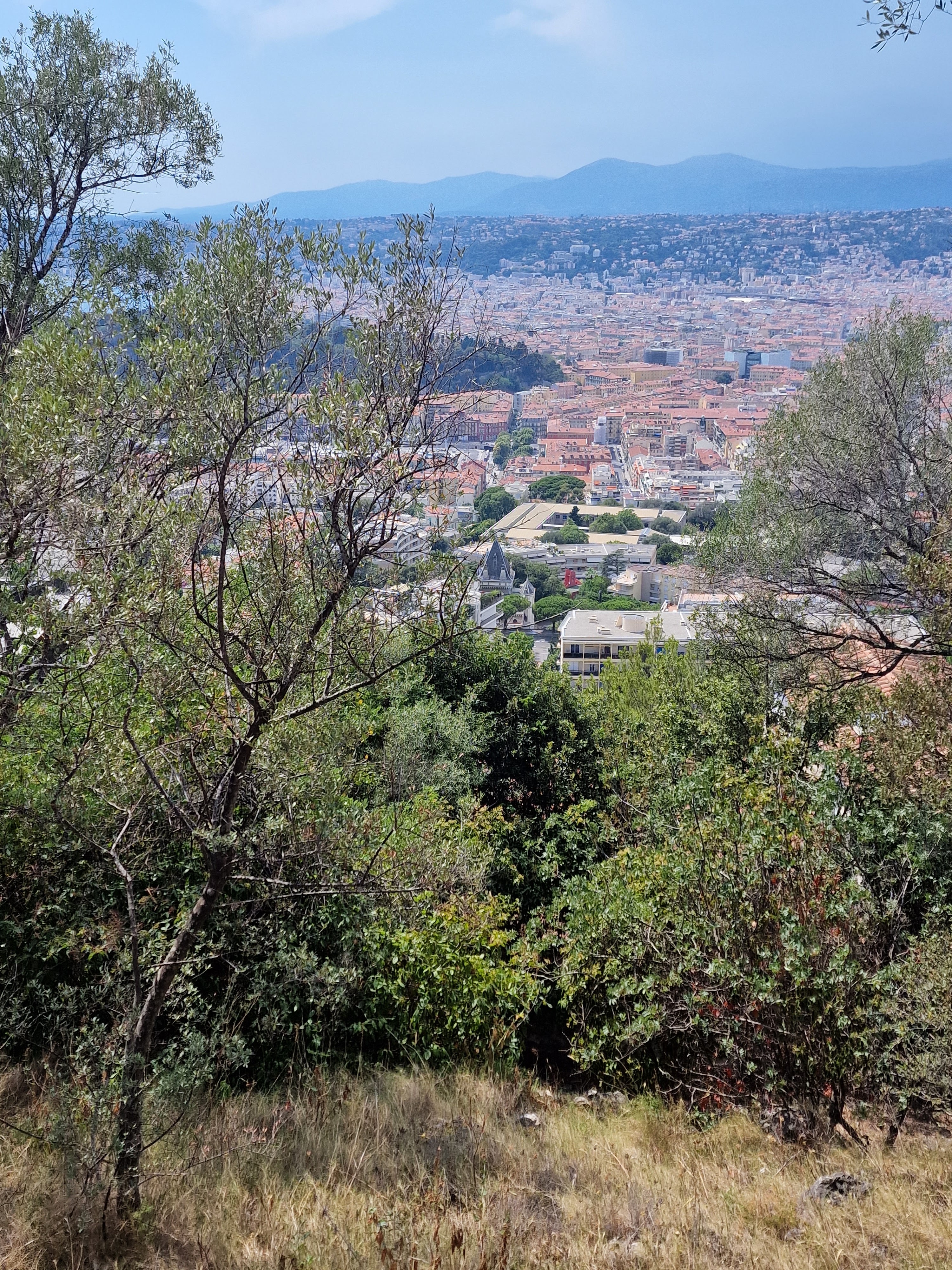 Photo n° 8 de l'avis de Pierre.a fait le 31/07/2022 à 16:52
