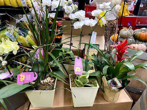 Grocery Store «Grocery Outlet Bargain Market», reviews and photos, 1700 Capitol Ave, Sacramento, CA 95811, USA