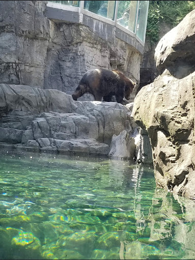 Arena «Madison Square Garden», reviews and photos, 4 Pennsylvania Plaza, New York, NY 10001, USA