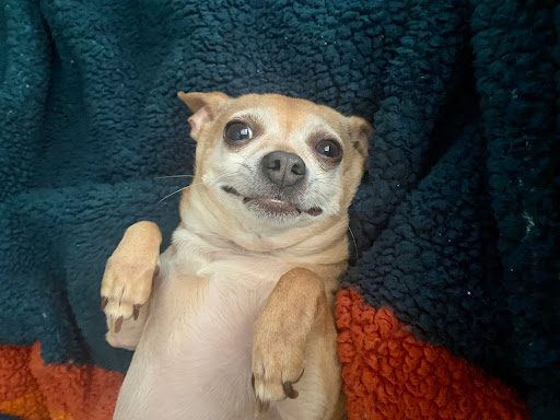 Beauty Salon «Lords & Ladies Perkiomenville Salon and Spa», reviews and photos, 646 Fagleysville Rd, Perkiomenville, PA 18074, USA