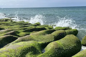 Laomei Green Reef image