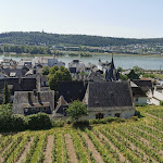 Photo n°8 de l'avis de Christiane.e fait le 28/05/2023 à 18:05 sur le  Rudesheim à Rüdesheim am Rhein