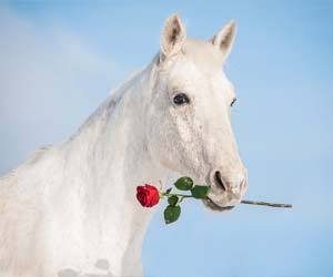 Memorial Park «John Russell Wheeler Park», reviews and photos, US-1, Linden, NJ 07036, USA