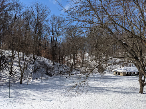 Park «Burnet Woods», reviews and photos, 3251 Brookline Ave, Cincinnati, OH 45220, USA