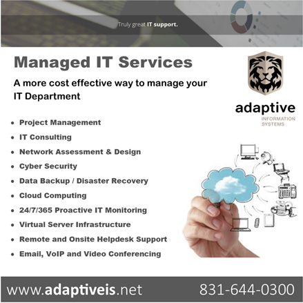 Adaptive Information Systems image