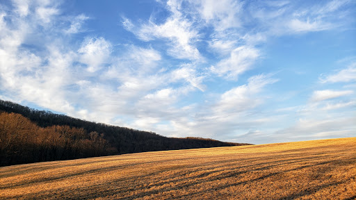 Nature Preserve «Macricostas Preserve», reviews and photos, 121 Christian St, New Preston, CT 06777, USA