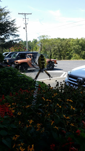 Gift Shop «Fergusons Country Store», reviews and photos, 121 AR-333, St Joe, AR 72675, USA