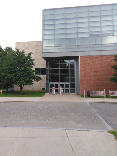 Performing Arts Theater «Williamstown Theatre Festival», reviews and photos