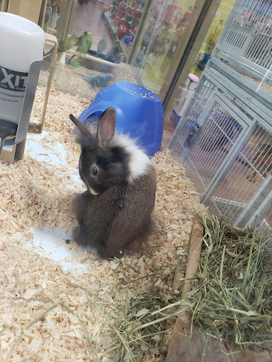 Pet Supply Store «Pet Supermarket, Inc.», reviews and photos, 9579 Bill Arp Rd #21, Douglasville, GA 30135, USA