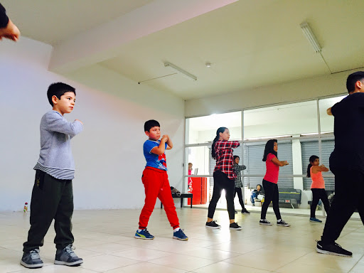 TFS Perú Escuela de Danza