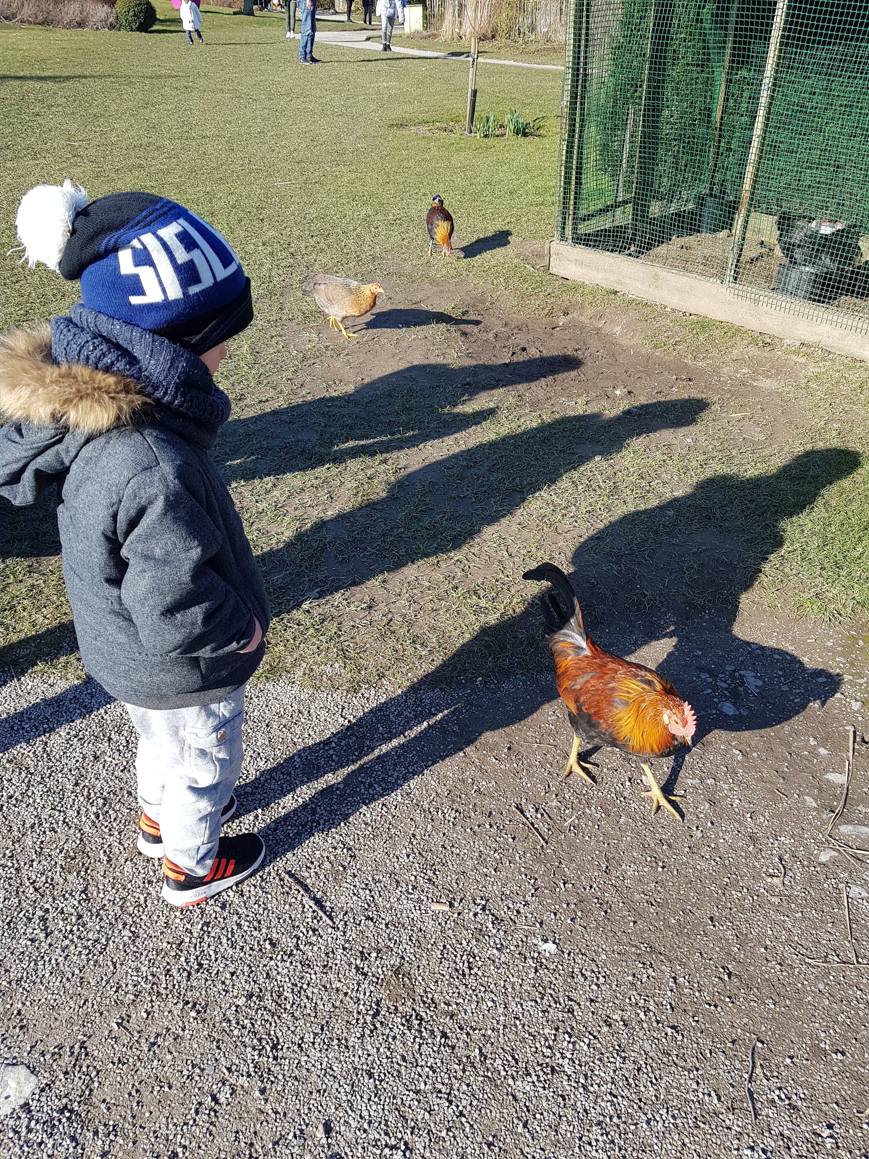 Photo n° 2 de l'avis de thomas.e fait le 25/02/2018 à 07:25
