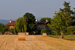 Azienda Agricola Magnas