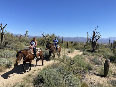 Wild West Horse Adventures