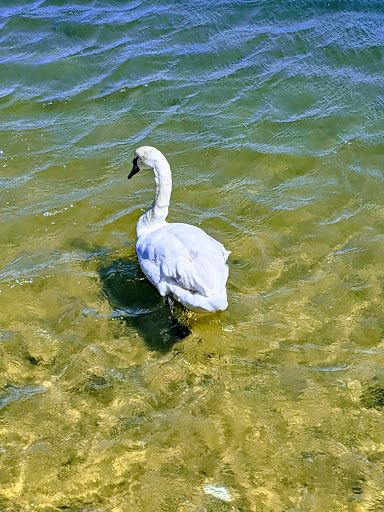 Golf Course «Bay Park Golf Course», reviews and photos, 1 1st Ave, East Rockaway, NY 11518, USA