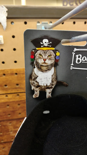 Pet Supply Store «Petco», reviews and photos, 49 W Rand Rd, Arlington Heights, IL 60004, USA