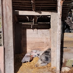 Photo n° 6 de l'avis de Sylvie.i fait le 20/11/2022 à 16:09 pour Le Hameau du Père Noël à Saint-Blaise