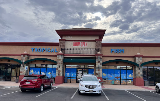 Tropical Fish Store «Blue Reef Aquatics», reviews and photos, 5960 Losee Rd, North Las Vegas, NV 89081, USA