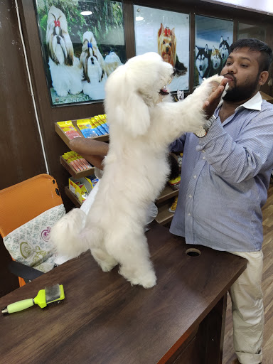 Pets In The City (Pets Spa & Grooming Parlour)