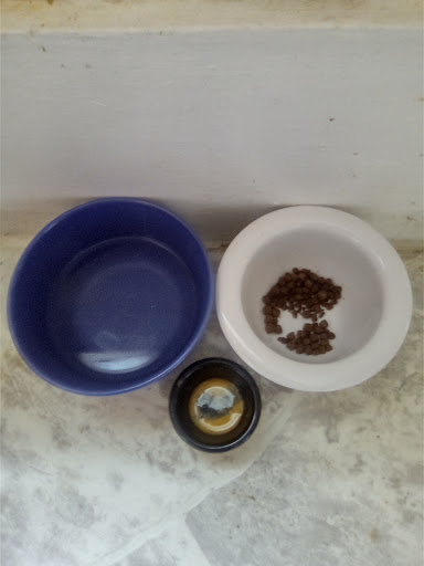 Thrift Store «St Vincent de Paul Thrift Stores», reviews and photos