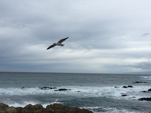 Golf Course «Monterey Peninsula Dunes Golf Course», reviews and photos, 3000 Club Rd, Pebble Beach, CA 93953, USA