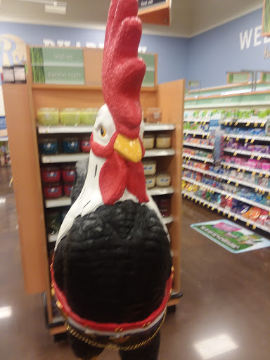 Grocery Store «Kroger», reviews and photos, 125 Towne Dr, Bluffton, SC 29910, USA