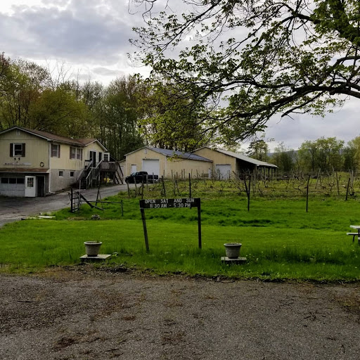 Vineyard «Brimstone Hill Vineyard», reviews and photos, 61 Brimstone Hill Rd, Pine Bush, NY 12566, USA