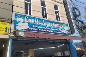 Exotic aquariums image