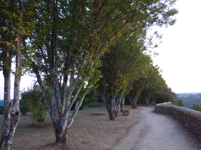 Photo n° 7 de l'avis de C.a fait le 31/08/2019 à 06:43