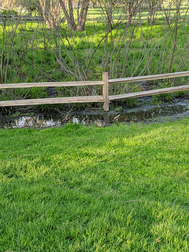 Park «Winnemac Park», reviews and photos, 5100 N Leavitt St, Chicago, IL 60625, USA