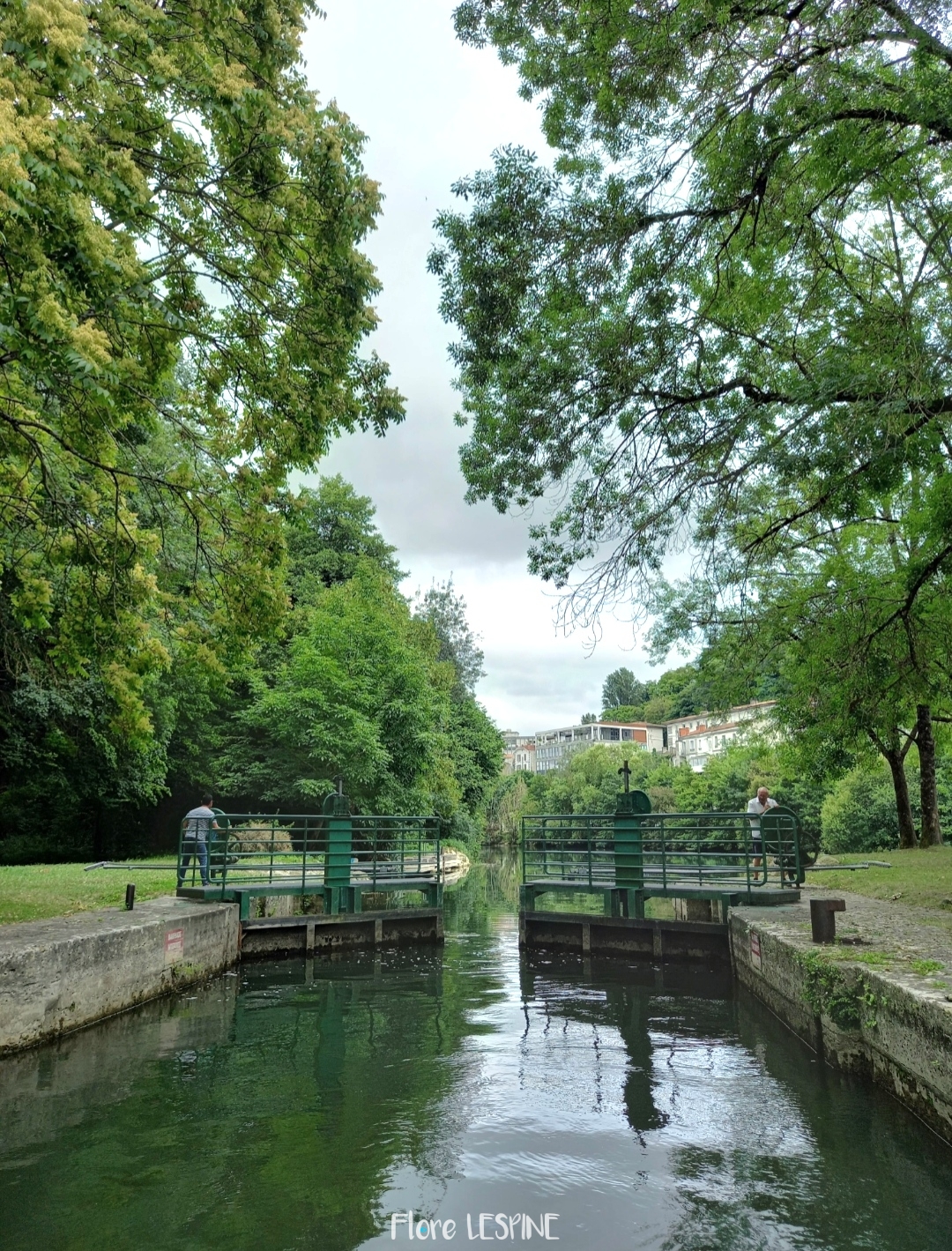 Photo n° 3 de l'avis de Flore.e fait le 12/07/2023 à 15:33