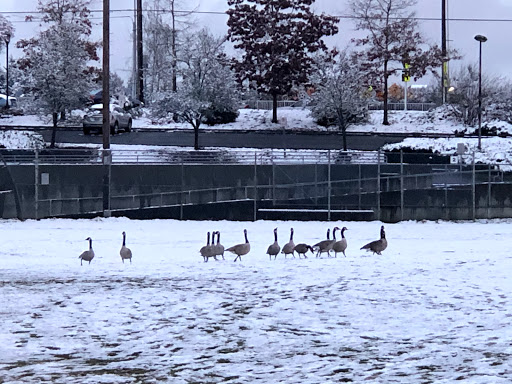 Community Center «Bitter Lake Community Center», reviews and photos, 13035 Linden Ave N, Seattle, WA 98133, USA